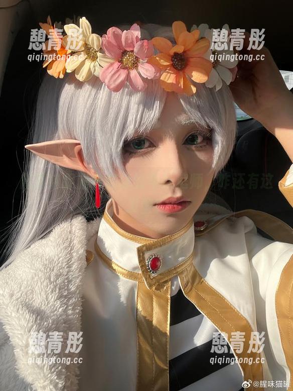 腥味猫罐 高清捕捉腥味猫罐的半妖庭师,咋还有这发型?